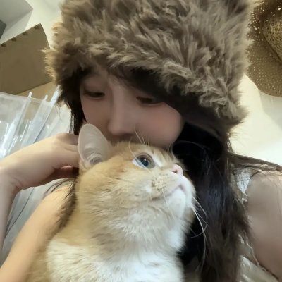 狂野之翼